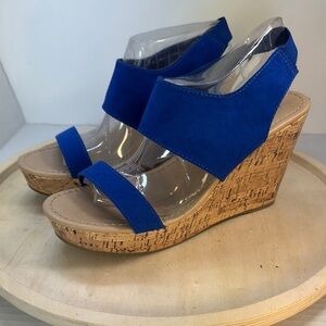 Blue Wedge Sandals